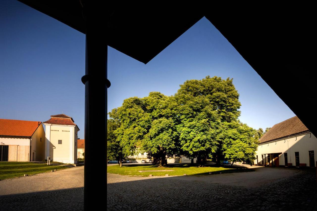 Penzion Pansky Dvur Telč Buitenkant foto
