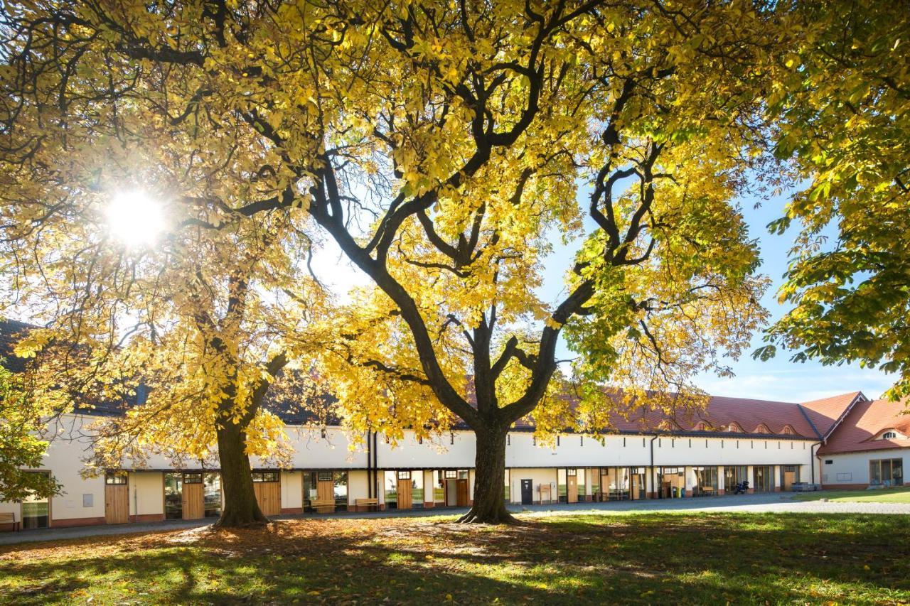 Penzion Pansky Dvur Telč Buitenkant foto